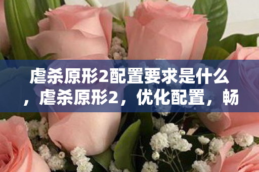 虐杀原形2配置要求是什么图片