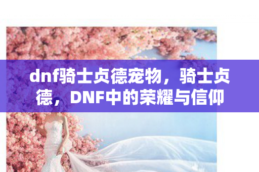 DNF中的荣耀与信仰图片