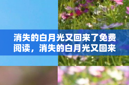 消失的白月光又回来了免费阅读图片