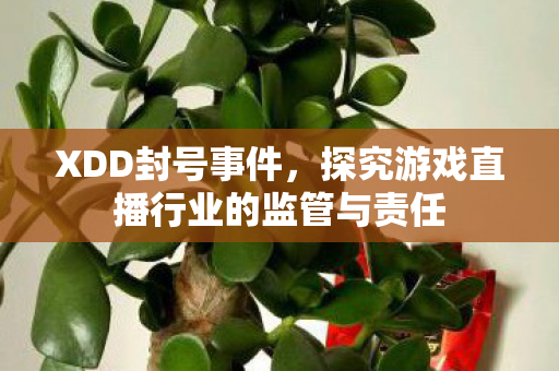 探究游戏直播行业的监管与责任图片