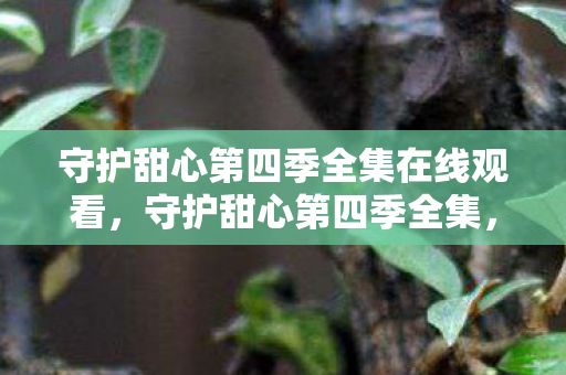 守护甜心第四季全集在线观看图片