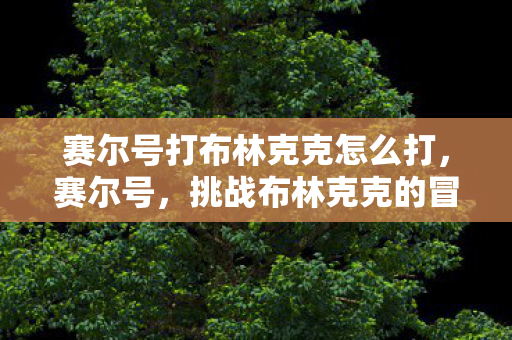 赛尔号打布林克克怎么打图片