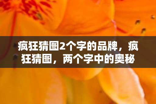 疯狂猜图2个字的品牌,疯狂猜图,两个字中的奥秘 疯狂猜图2个字的品牌,疯狂猜图,两个字中的奥秘