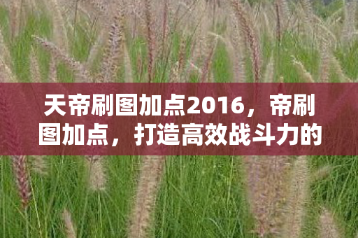天帝刷图加点2016图片