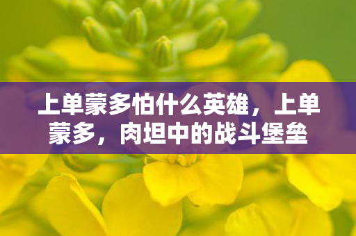 上单蒙多怕什么英雄图片