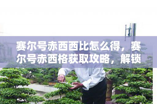 解锁神秘精灵的详细步骤图片