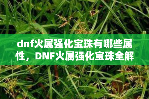 dnf火属强化宝珠有哪些属性图片