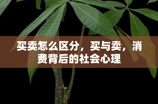 消费背后的社会心理图片