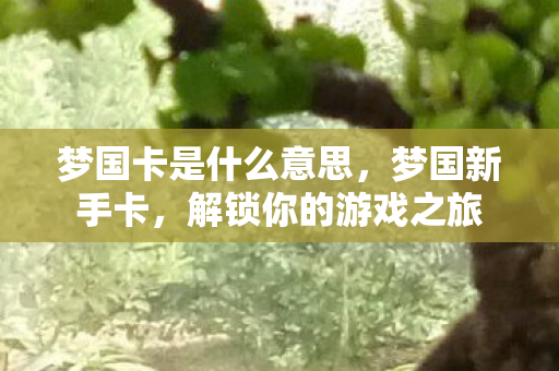 梦国卡是什么意思图片