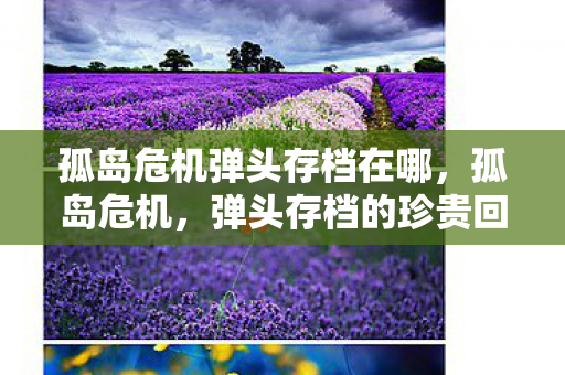 孤岛危机弹头存档在哪图片