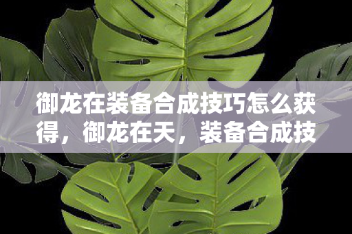 御龙在装备合成技巧怎么获得图片