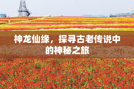 探寻古老传说中的神秘之旅图片