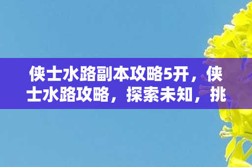 侠士水路副本攻略5开，侠士水路攻略，探索未知，挑战自我