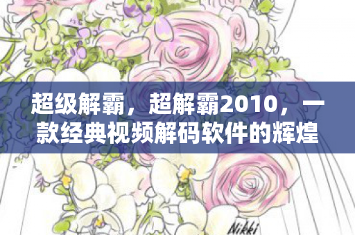 一款经典视频解码软件的辉煌与变迁图片