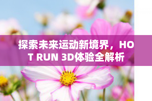 HOT RUN 3D体验全解析图片