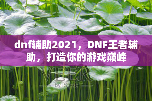 dnf辅助2021图片