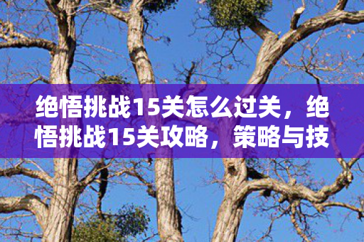 绝悟挑战15关怎么过关图片