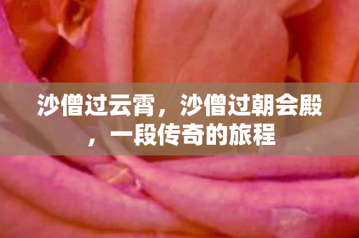 一段传奇的旅程图片