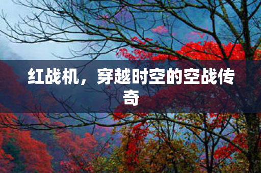 穿越时空的空战传奇图片