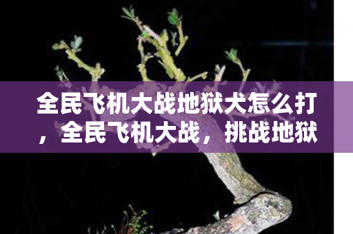 全民飞机大战地狱犬怎么打图片