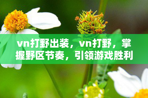 vn打野出装图片