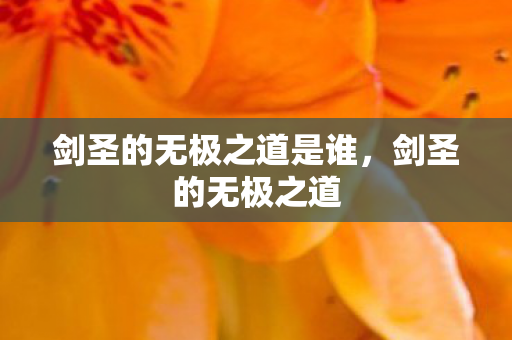 剑圣的无极之道是谁图片