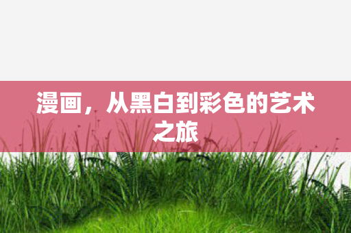 从黑白到彩色的艺术之旅图片
