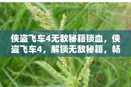 侠盗飞车4无敌秘籍锁血图片