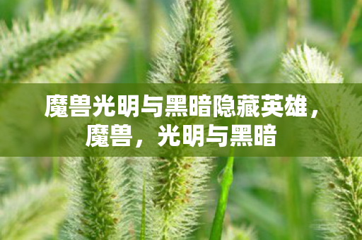 魔兽光明与黑暗隐藏英雄图片