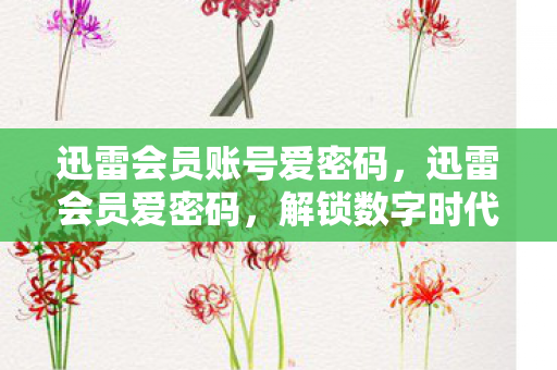 迅雷会员账号爱密码，迅雷会员爱密码，解锁数字时代的便捷与隐私