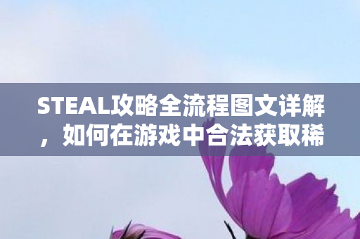 STEAL攻略全流程图文详解，如何在游戏中合法获取稀有资源，攻略分享