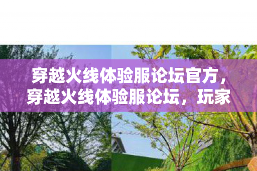 穿越火线体验服论坛官方图片