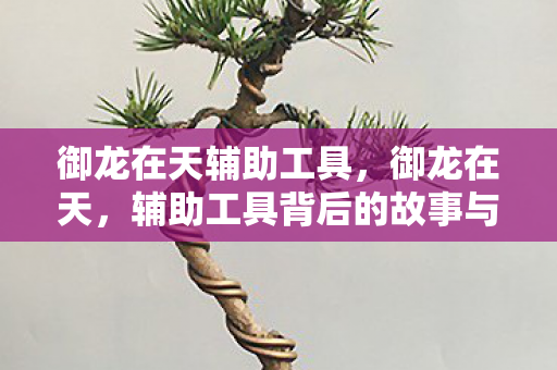 辅助工具背后的故事与反思图片