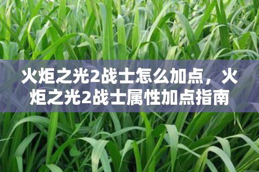 火炬之光2战士怎么加点，火炬之光2战士属性加点指南