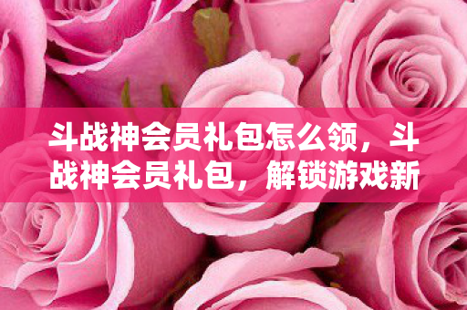 斗战神会员礼包怎么领，斗战神会员礼包，解锁游戏新世界的钥匙