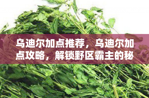 解锁野区霸主的秘密图片