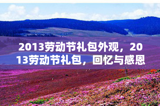 2013劳动节礼包外观，2013劳动节礼包，回忆与感恩的交织