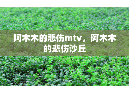 阿木木的悲伤mtv，阿木木的悲伤沙丘