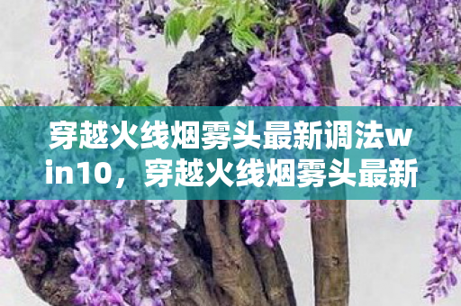 穿越火线烟雾头最新调法win10图片