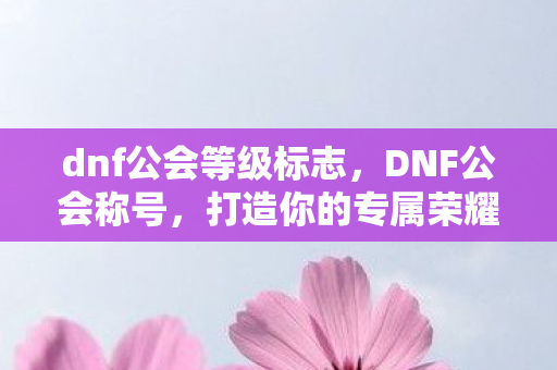 dnf公会等级标志图片