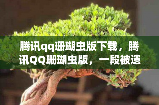 一段被遗忘的互联网往事图片