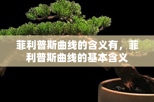 菲利普斯曲线的基本含义图片