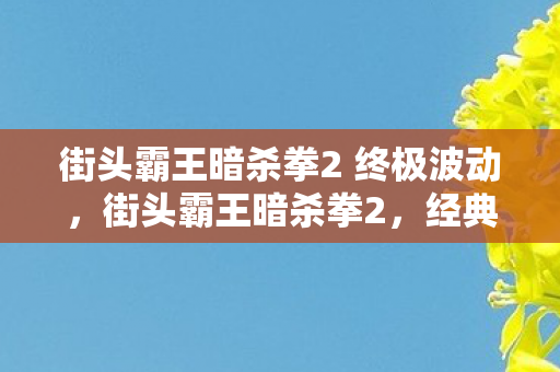 街头霸王暗杀拳2 终极波动图片