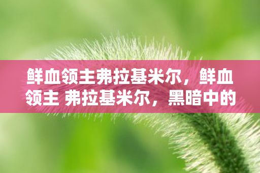 鲜血领主 弗拉基米尔图片