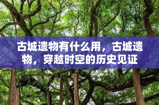 穿越时空的历史见证图片