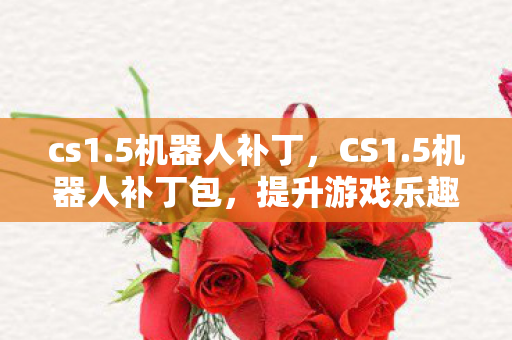 cs1.5机器人补丁，CS1.5机器人补丁包，提升游戏乐趣的必备神器