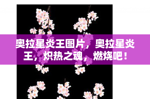 奥拉星炎王图片图片