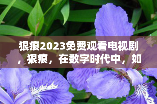 如何保持个人品牌的独特性与影响力图片