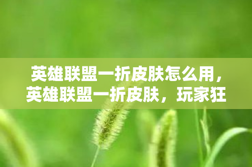 英雄联盟一折皮肤怎么用，英雄联盟一折皮肤，玩家狂欢的盛宴