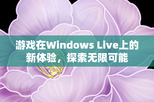 游戏在Windows Live上的新体验，探索无限可能